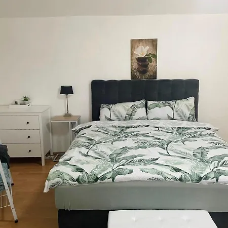 Appartamento Easystay#2 Cozy In Kliniknaehe, Mit Netflix,kueche & Bad *